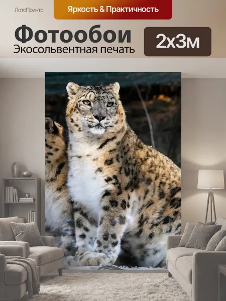 LotsPrints Фотообои "Леопарды, снежный барс, дикие кошки" 2x3м