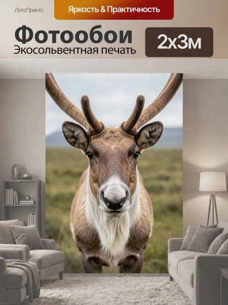 LotsPrints Фотообои "Северный олень с большими рогами. Крупный." 2x3м