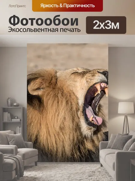 LotsPrints Фотообои "Животное, большой кот, крупный план" 2x3м