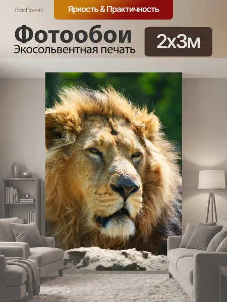 LotsPrints Фотообои "Лев, большой кот, животное" 2x3м