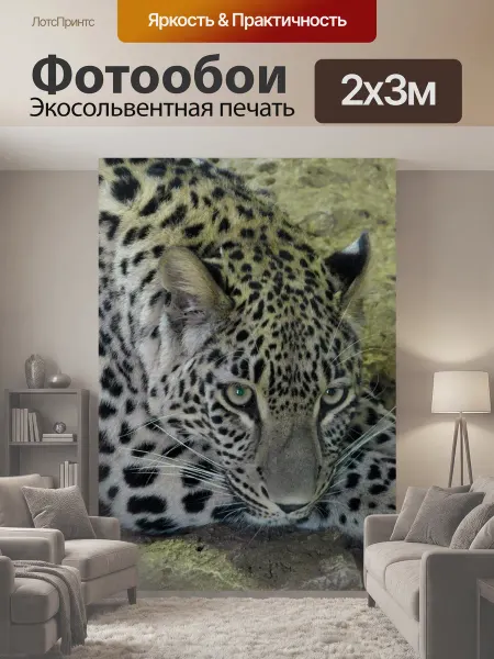 LotsPrints Фотообои "Леопард, животное, большой" 2x3м