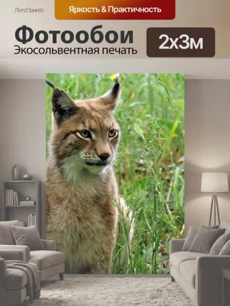 LotsPrints Фотообои "Рысь, зоопарк, большой кот" 2x3м