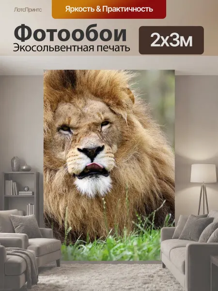 LotsPrints Фотообои "Лев, большой кот, большой" 2x3м