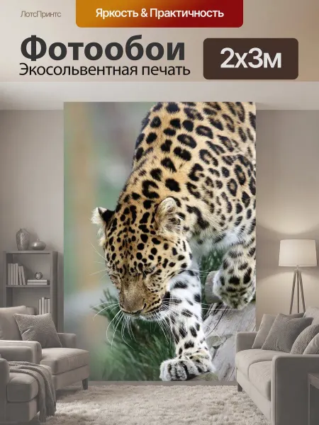 LotsPrints Фотообои "Леопард, большой кот, пятна" 2x3м