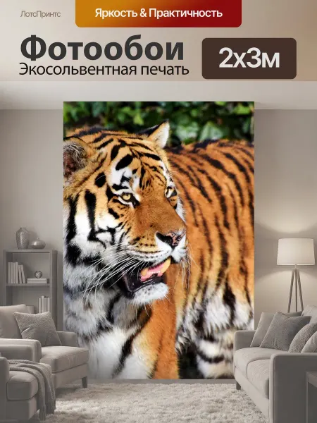 LotsPrints Фотообои "Тигр, большой кот, хищник" 2x3м
