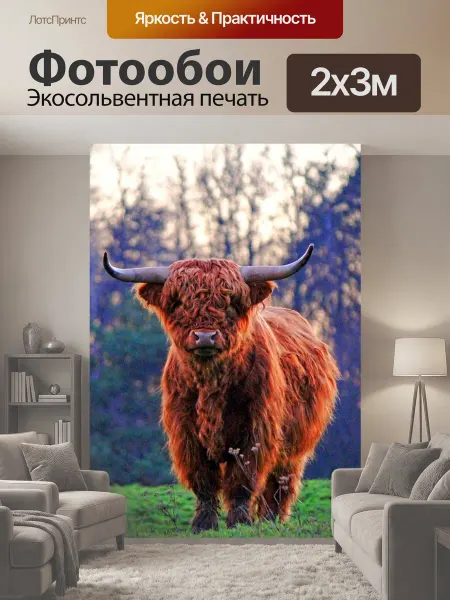 LotsPrints Фотообои "Горный бык, бык, буйвол" 2x3м