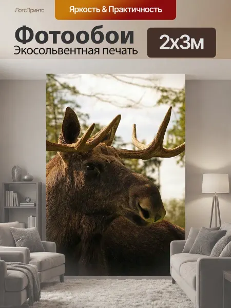 LotsPrints Фотообои "Лось, рог, лось бык" 2x3м