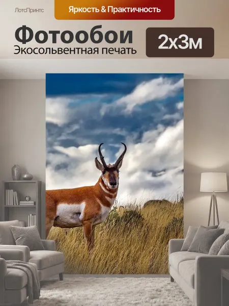 LotsPrints Фотообои "Вилорог, животное, дикая природа" 2x3м
