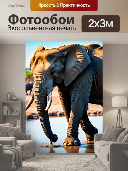 LotsPrints Фотообои "Слон в очках, гуляющий у водопоя" 2x3м