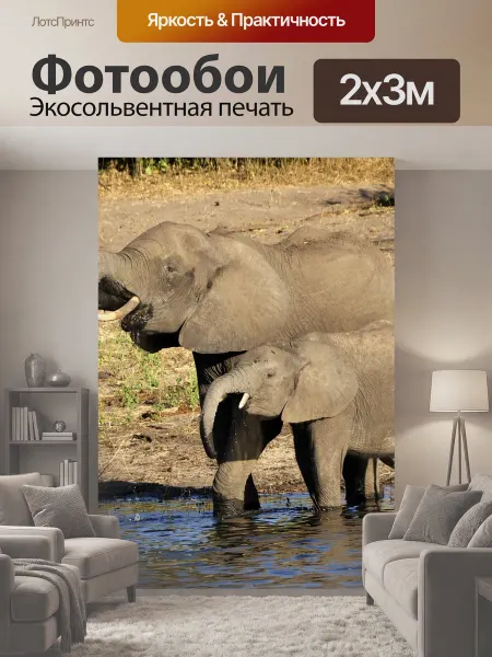 LotsPrints Фотообои "Слон, воды слон, слоненка" 2x3м