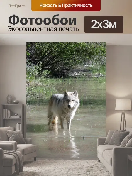 LotsPrints Фотообои "Волк, животное, охотник" 2x3м