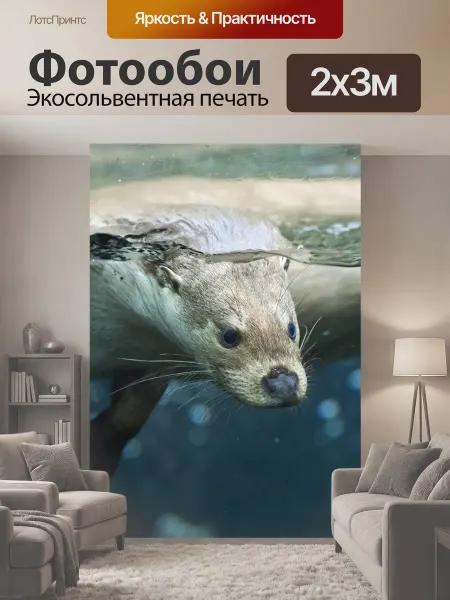 LotsPrints Фотообои "Выдра, зоопарк пльзень, животное" 2x3м