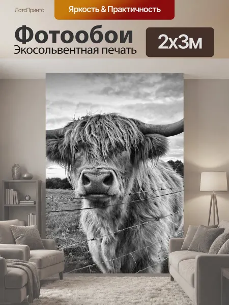 LotsPrints Фотообои "Высокогорная корова, корова, животное" 2x3м