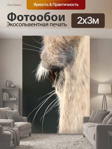LotsPrints Фотообои "Лошадь, плесень, лошади глаз" 2x3м