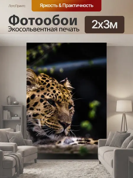 LotsPrints Фотообои "Леопард, голова, кошачий" 2x3м
