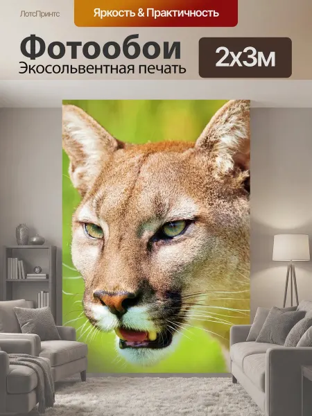 LotsPrints Фотообои "Пума, животное, горный лев" 2x3м