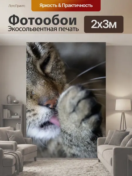 LotsPrints Фотообои "Кошка, груминг, животное" 2x3м
