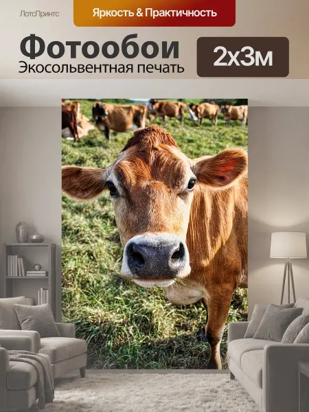 LotsPrints Фотообои "Корова, джерси, молочные продукты" 2x3м