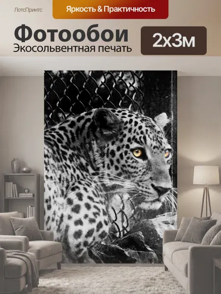 LotsPrints Фотообои "Джунгли кошка, леопард, охотник" 2x3м