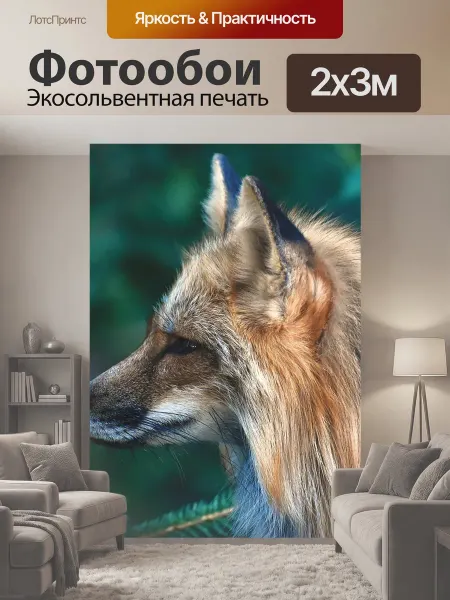 LotsPrints Фотообои "Лиса, дикая природа, дикое животное" 2x3м