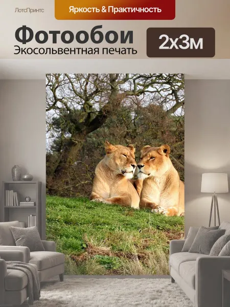 LotsPrints Фотообои "Лев, дикая природа, львица" 2x3м