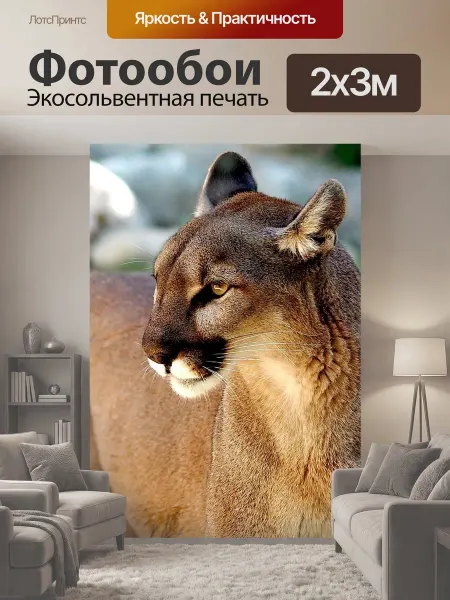 LotsPrints Фотообои "Пума, дикий кот, хищник" 2x3м