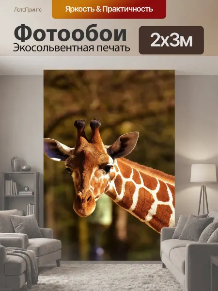 LotsPrints Фотообои "Жирафа, дикое животное, пятна" 2x3м