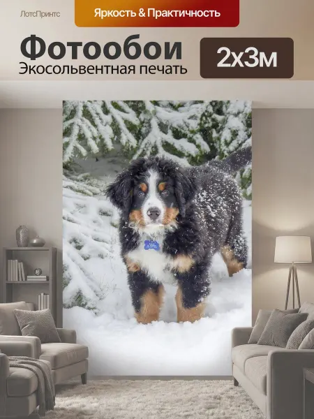 LotsPrints Фотообои "Собака, щенок, домашний питомец" 2x3м