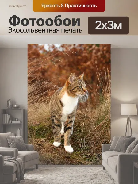 LotsPrints Фотообои "Кот, тигровый кот, домашняя кошка" 2x3м