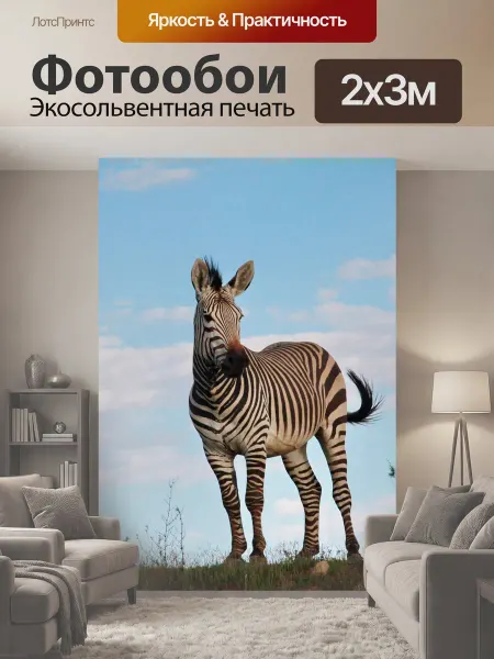 LotsPrints Фотообои "Зебра, мужчина, жеребец" 2x3м
