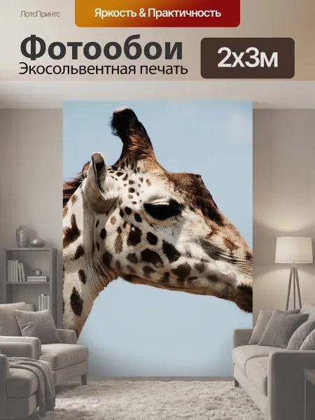 LotsPrints Фотообои "Животное, крупный план, жирафа" 2x3м