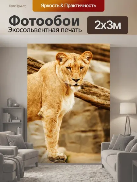 LotsPrints Фотообои "Лев, животное, зоопарк" 2x3м