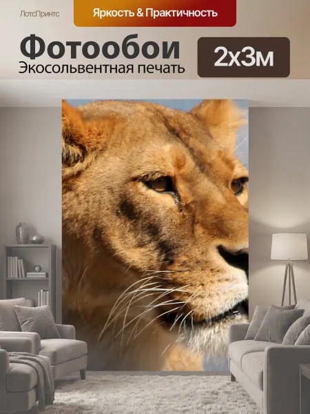 LotsPrints Фотообои "Львица, зоопарк, животное" 2x3м