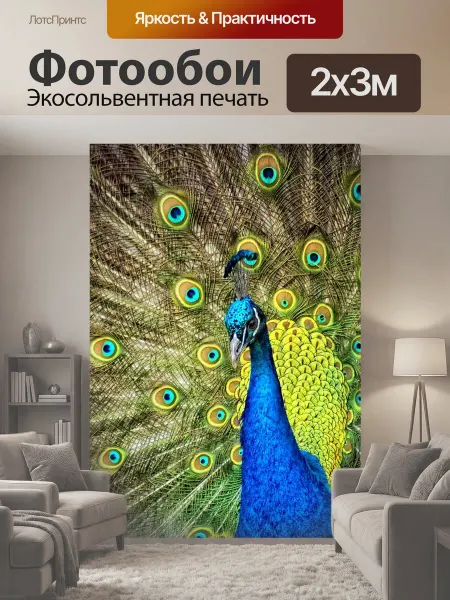 LotsPrints Фотообои "Индийский павлин, павлин, животное" 2x3м