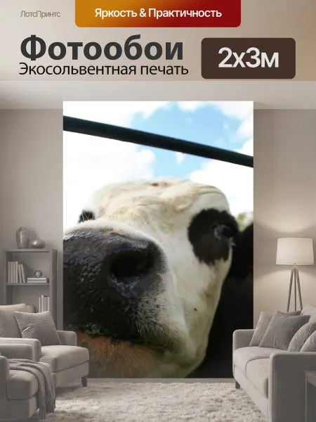 LotsPrints Фотообои "Корова, милый, животное" 2x3м