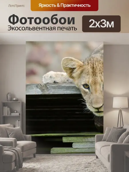 LotsPrints Фотообои "Лев, львенок, животное" 2x3м