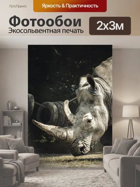 LotsPrints Фотообои "Носорог, рог, животное" 2x3м