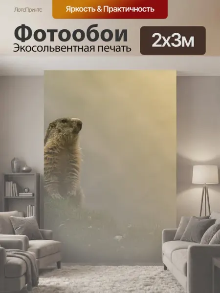 LotsPrints Фотообои "Сурок, животное, природа" 2x3м