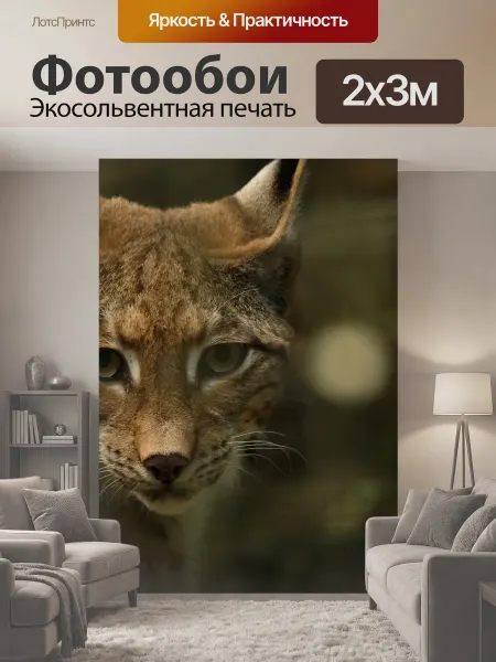 LotsPrints Фотообои "Рысь, животное, хищник" 2x3м