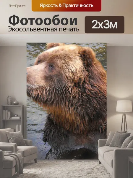 LotsPrints Фотообои "Медведь, животные, зоопарк" 2x3м