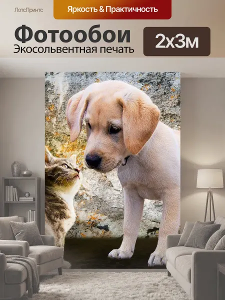 LotsPrints Фотообои "Животные, собака, кот" 2x3м
