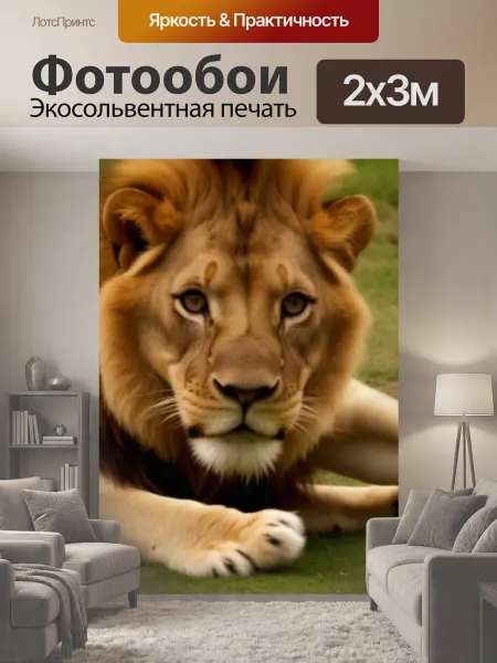 LotsPrints Фотообои "Лежит лев животные" 2x3м