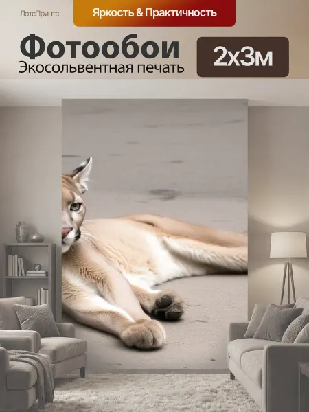 LotsPrints Фотообои "Лежачая пума животные" 2x3м