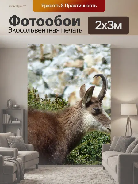 LotsPrints Фотообои "Животные, природа, фауна" 2x3м
