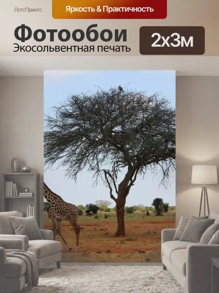 LotsPrints Фотообои "Жирафа, сафари, кения" 2x3м