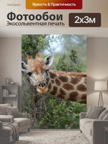 LotsPrints Фотообои "Жирафа, сафари, природа" 2x3м