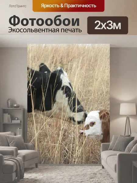 LotsPrints Фотообои "Корова, телец, мама" 2x3м
