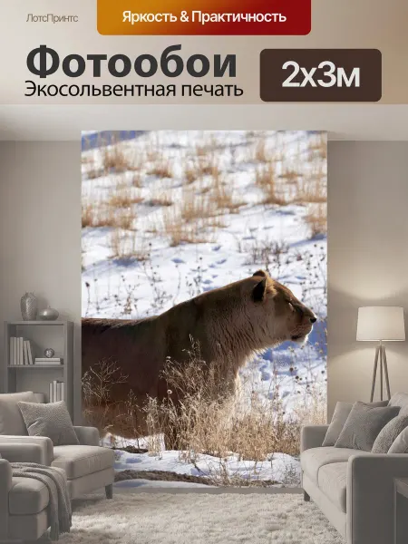 LotsPrints Фотообои "Львица, кошка, кошачий" 2x3м
