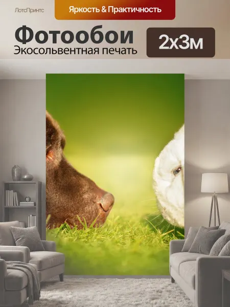 LotsPrints Фотообои "Собака, кролик, лабрадор" 2x3м