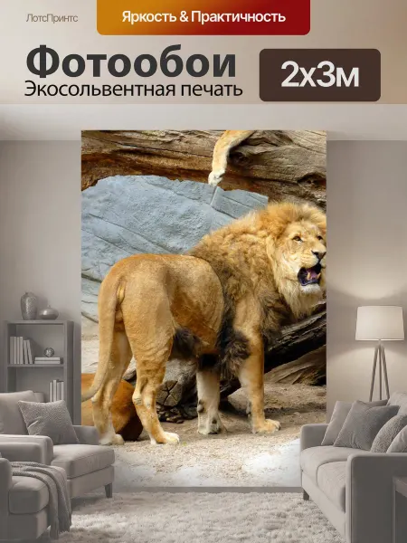 LotsPrints Фотообои "Лев, львица, лев самок" 2x3м
